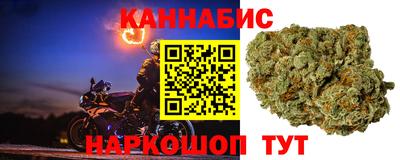 spice Бузулук