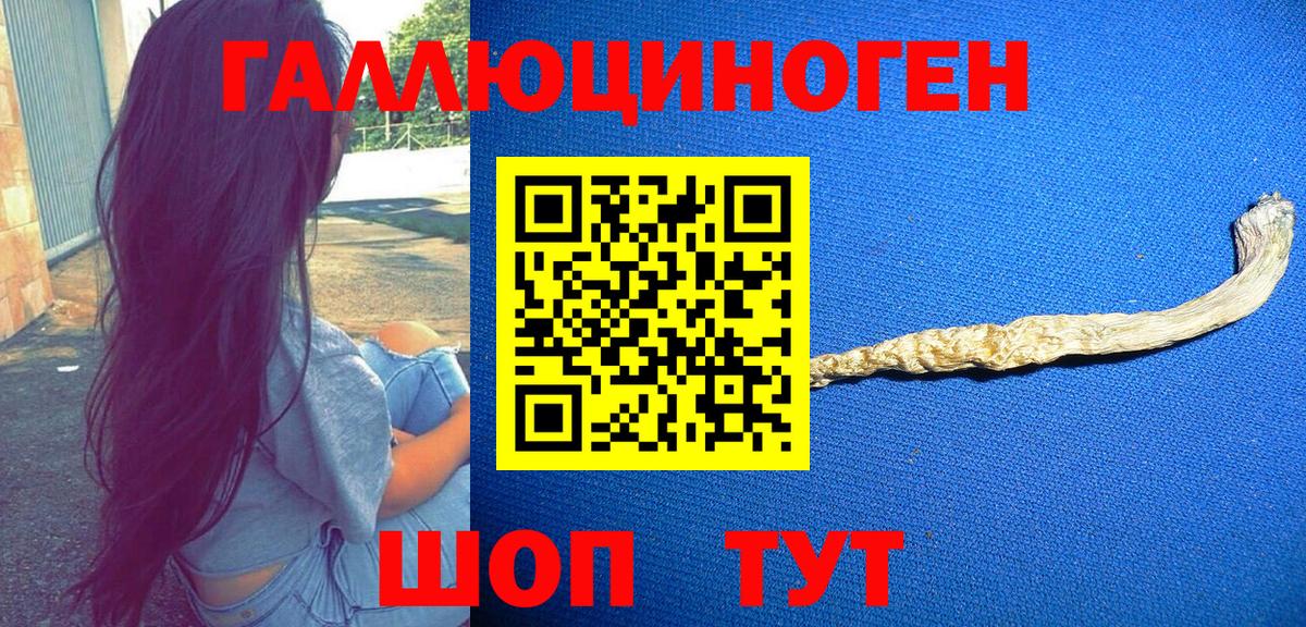 Омск  Галлюциногенные грибы ЛСД  Вход с VPN 